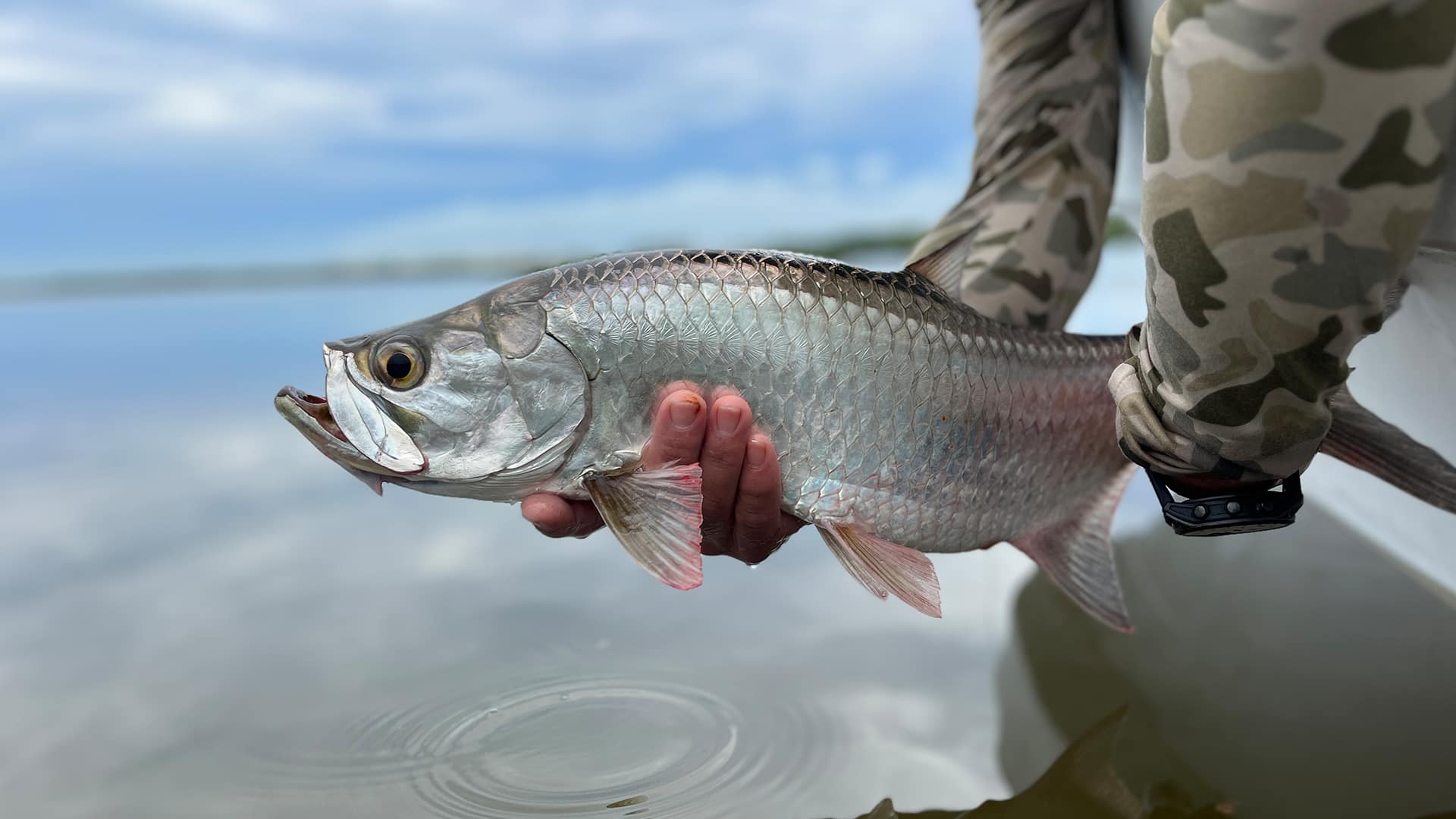 hotel zone fly fishing cancun