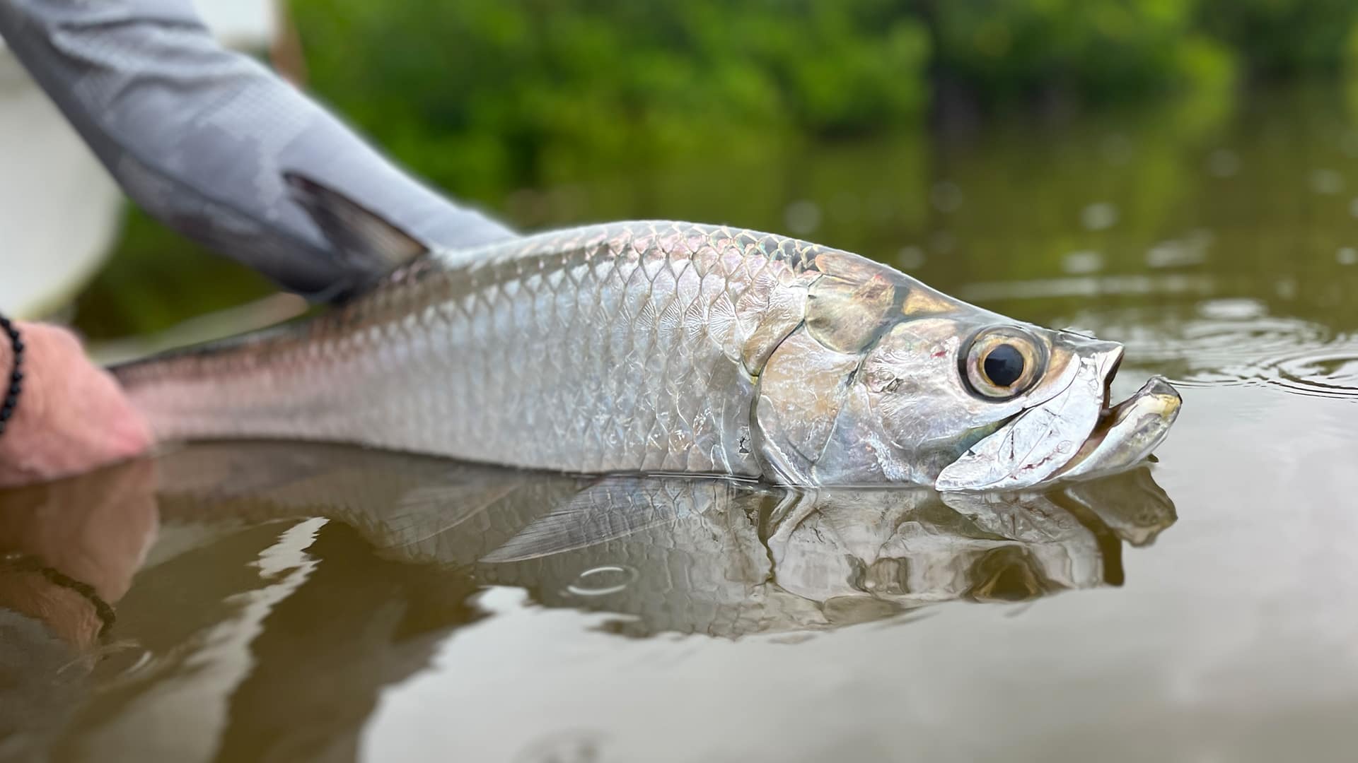 Isla Blanca Cancun flats fishing